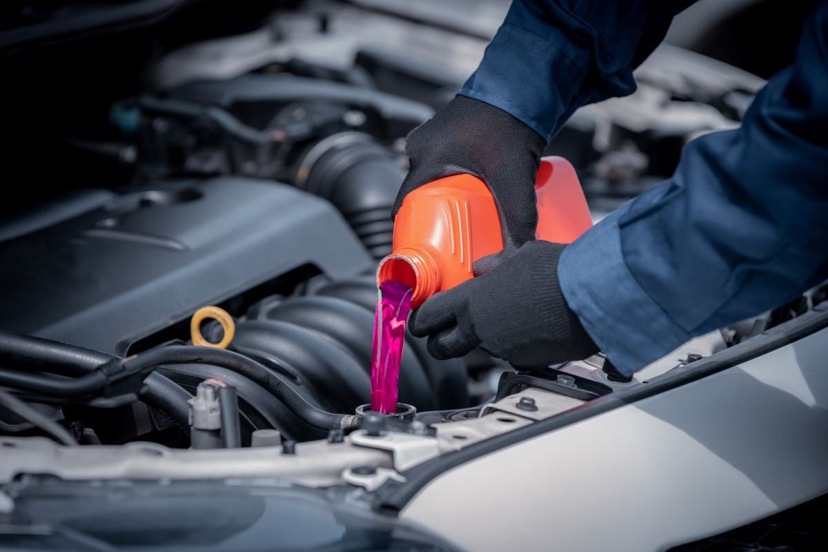 A maintenance professional pouring oil into a veficle engine
